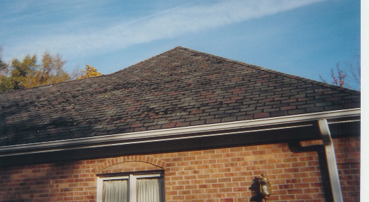 Roof 1.jpg